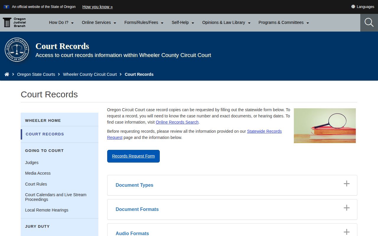 Wheeler County court disposition and criminal-record request page